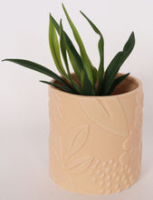 Load image into Gallery viewer, Urban Products: Caprice Foliage Planter - Blush (Small - 12cm)