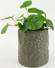 Load image into Gallery viewer, Urban Products: Caprice Foliage Planter - Sage (Small - 12cm)