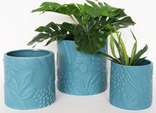 Load image into Gallery viewer, Urban Products: Caprice Foliage Planter - Sky (Small - 12cm)