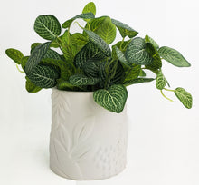 Load image into Gallery viewer, Urban Products: Caprice Foliage Planter - Snow (Medium)