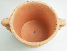 Load image into Gallery viewer, Urban Products: Dayze Planter - Blush (Medium - 16.5cm)