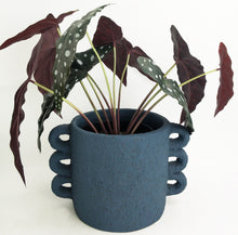 Load image into Gallery viewer, Urban Products: Dayze Planter - Sapphire (Medium - 16.5cm)