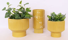 Load image into Gallery viewer, Urban Products: Nova Face Vase - Mustard (22cm)