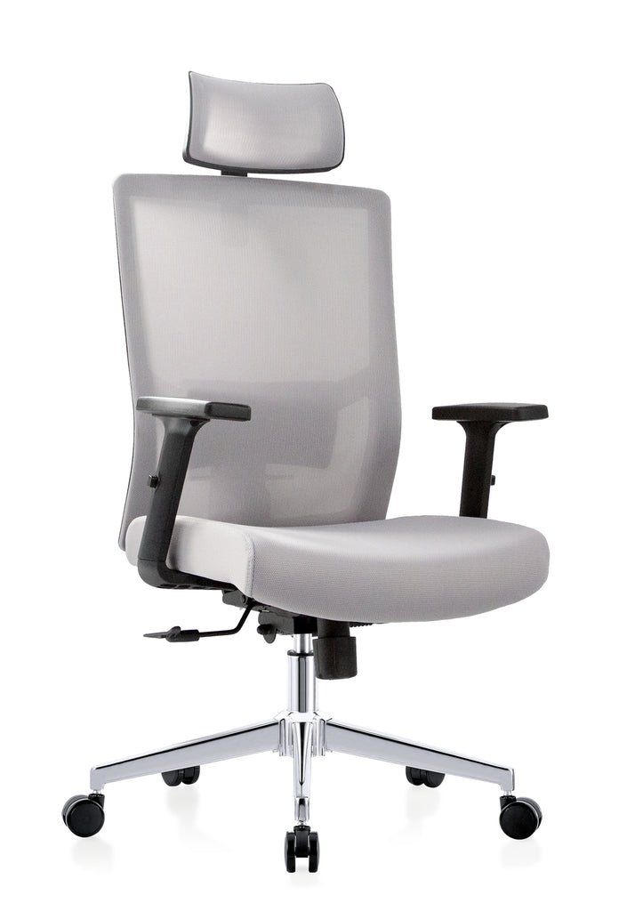 Ergolux Everest Ergonomic Chair (Grey)