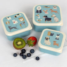 Load image into Gallery viewer, Rex London: Snack boxes - Best in Show (Set of 3)