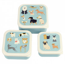 Load image into Gallery viewer, Rex London: Snack boxes - Best in Show (Set of 3)