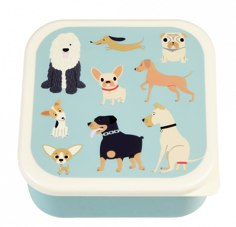 Rex London: Snack boxes - Best in Show (Set of 3)