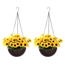 Load image into Gallery viewer, GREENHAVEN 2 Pack Self Watering Hanging Planters - Brown