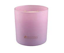 Load image into Gallery viewer, Maxwell &amp; Williams: Camilla Fig &amp; Bergamot Scented Candle