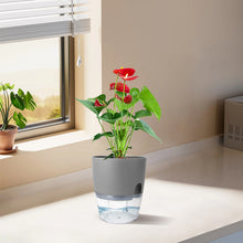 Load image into Gallery viewer, Set of 3 Self Watering Planter Pots - Grey