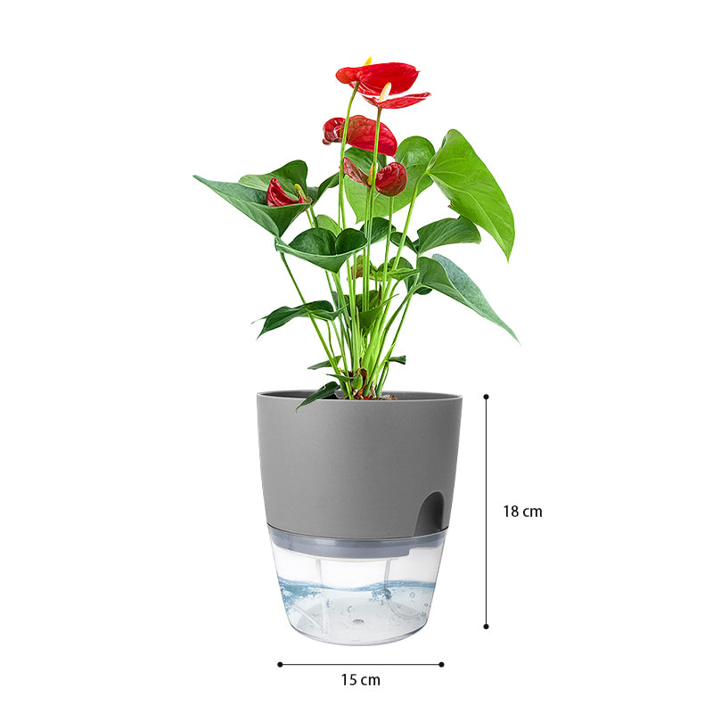 Set of 3 Self Watering Planter Pots - Grey