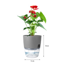 Load image into Gallery viewer, Set of 3 Self Watering Planter Pots - Grey