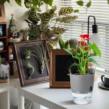 Load image into Gallery viewer, Set of 3 Self Watering Planter Pots - Grey
