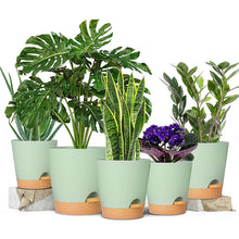 Load image into Gallery viewer, GREENHAVEN Set of 5 Self Watering Planters with Drainage Hole - Green