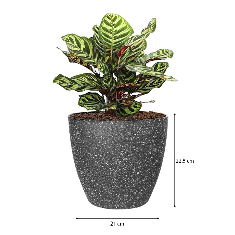 GREENHAVEN Set of 3 Plastic Flower Pots - Grey