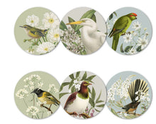 Load image into Gallery viewer, 100% NZ: Birds &amp; Botanicals of NZ Coasters - 100 Percent NZ