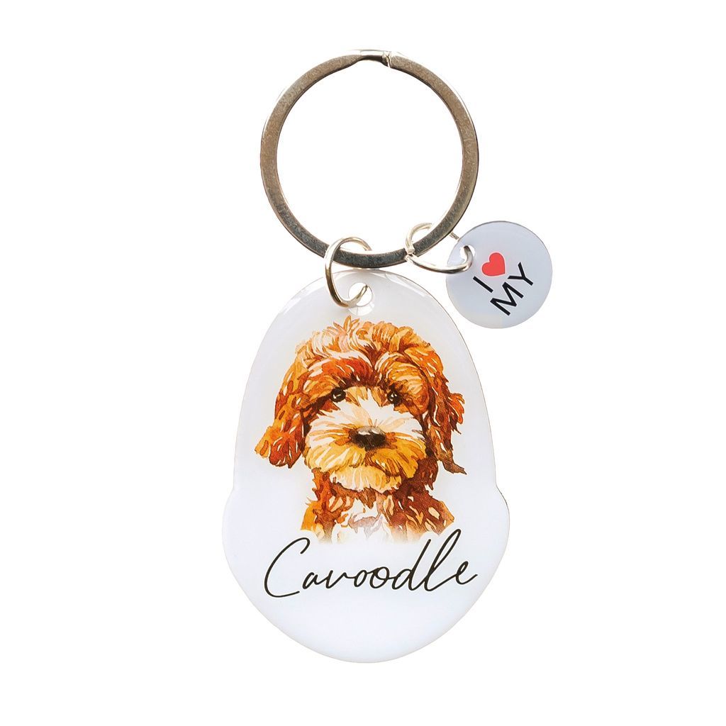 Splosh: Pet Keyring Cavoodle