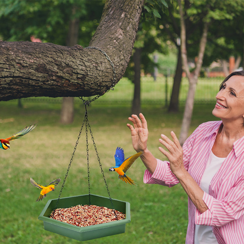 GREENHAVEN 2 in 1 Hanging Bird Feeder & Bird Bath - Green