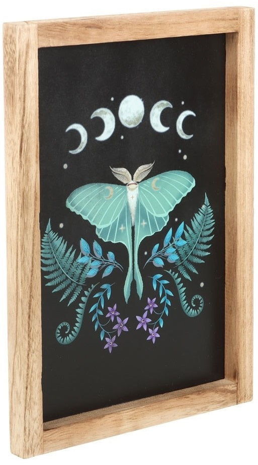 Luna Moth Wooden Framed Wall Art