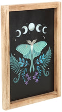 Load image into Gallery viewer, Luna Moth Wooden Framed Wall Art