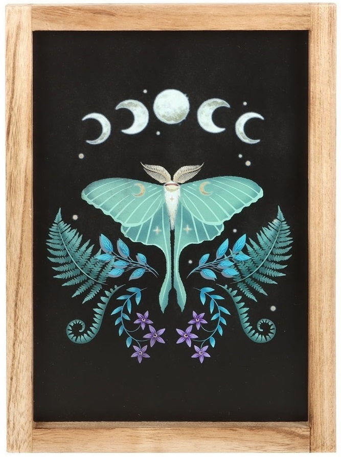 Luna Moth Wooden Framed Wall Art