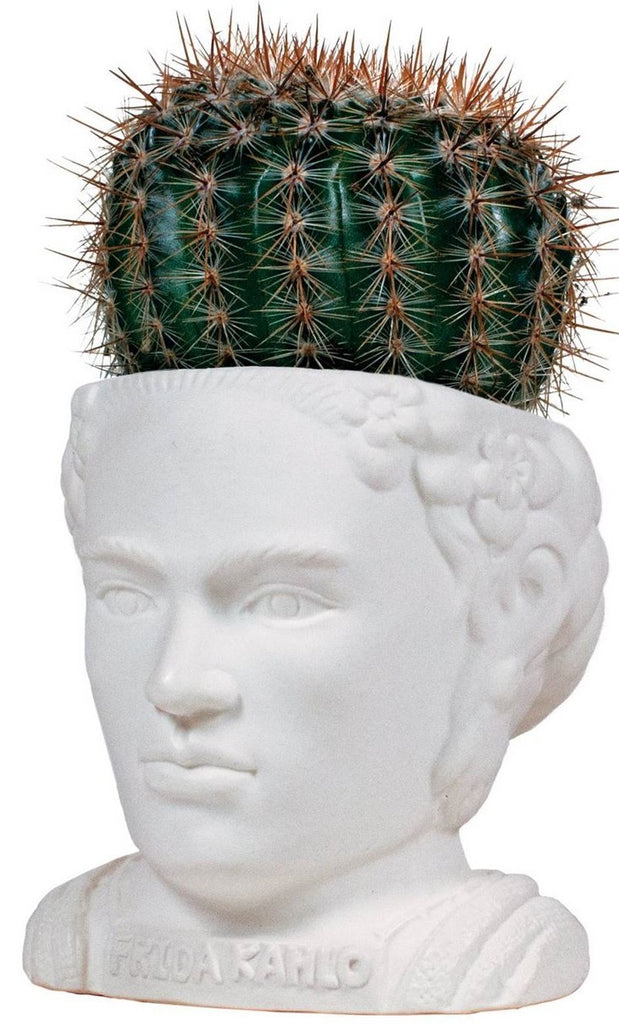 The Unemployed Philosophers Guild: Fertile Mind Planter - Frida Kahlo