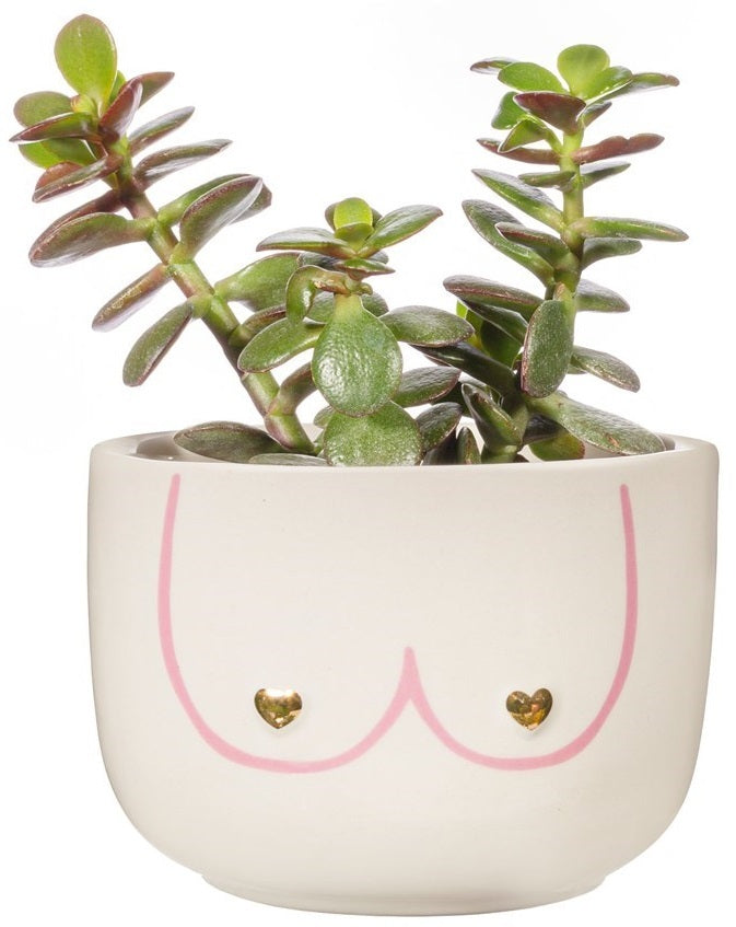 Sass & Belle: Large Girl Power Boobies Planter