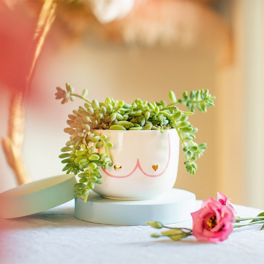 Sass & Belle: Large Girl Power Boobies Planter