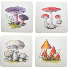 Load image into Gallery viewer, Sass &amp; Belle: Vintage Mushroom Coasters (Set of 4)