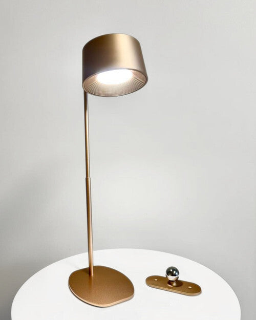 Stellar Haus: 360° LED USB Table Lamp - Champagne