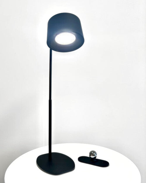 Stellar Haus: 360° LED USB Table Lamp - Black