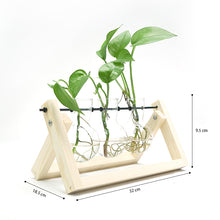 Load image into Gallery viewer, GREENHAVEN 3 Bulb Vase Plant Terrarium with Wooden Stand - Natural