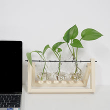 Load image into Gallery viewer, GREENHAVEN 3 Bulb Vase Plant Terrarium with Wooden Stand - Natural