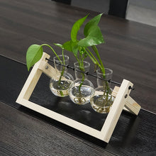 Load image into Gallery viewer, GREENHAVEN 3 Bulb Vase Plant Terrarium with Wooden Stand - Natural
