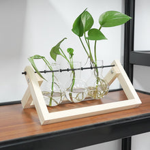 Load image into Gallery viewer, GREENHAVEN 3 Bulb Vase Plant Terrarium with Wooden Stand - Natural