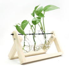 Load image into Gallery viewer, GREENHAVEN 3 Bulb Vase Plant Terrarium with Wooden Stand - Natural