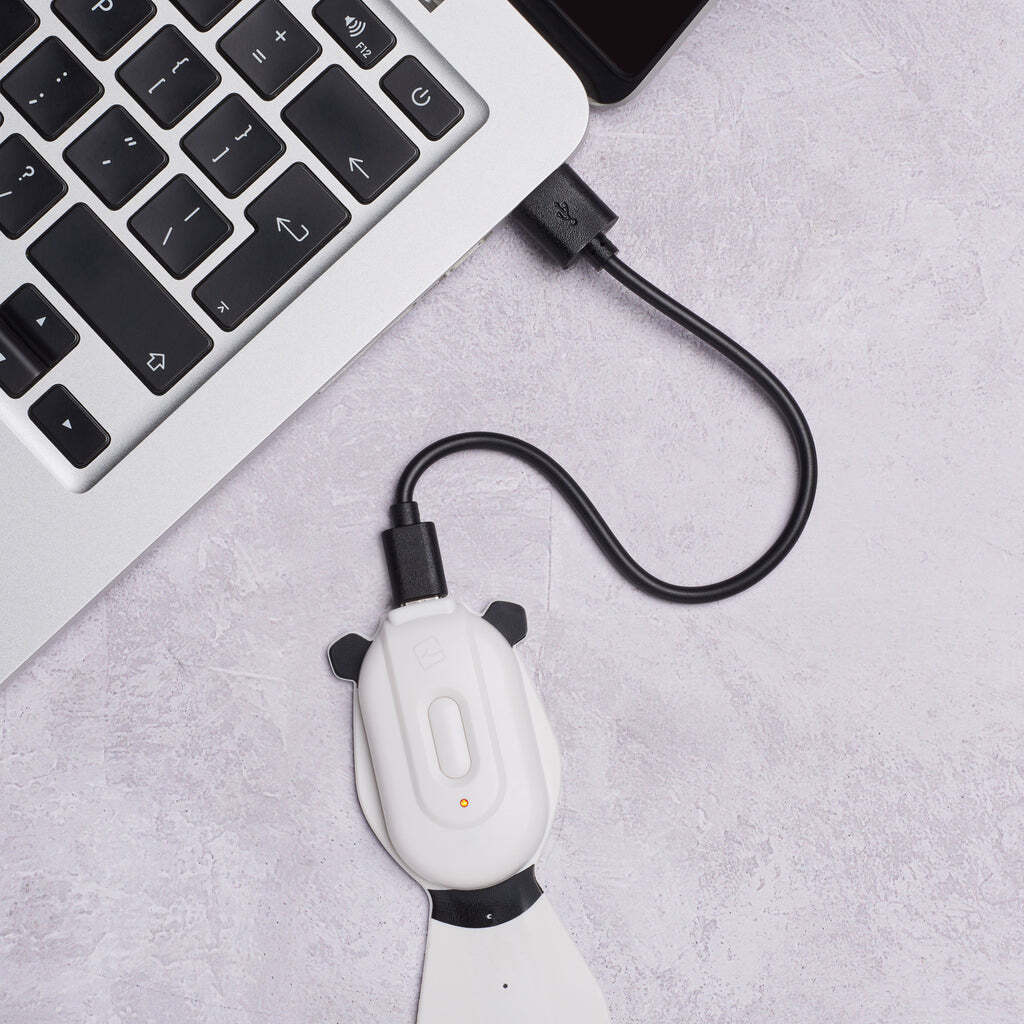 Thinking Gifts: Flexilight Rechargeable Pals - Panda