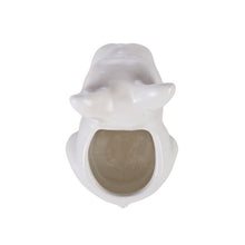 Load image into Gallery viewer, Emporium: Eddy White Ceramic Puppy Planter (14cm)