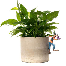 Load image into Gallery viewer, Disney: Mickey &amp; Friends Pot Buddies - Goofy