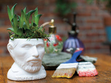 Load image into Gallery viewer, The Unemployed Philosophers Guild: Vincent Van Gogh Planter