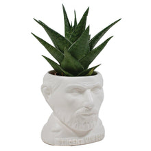 Load image into Gallery viewer, The Unemployed Philosophers Guild: Vincent Van Gogh Planter