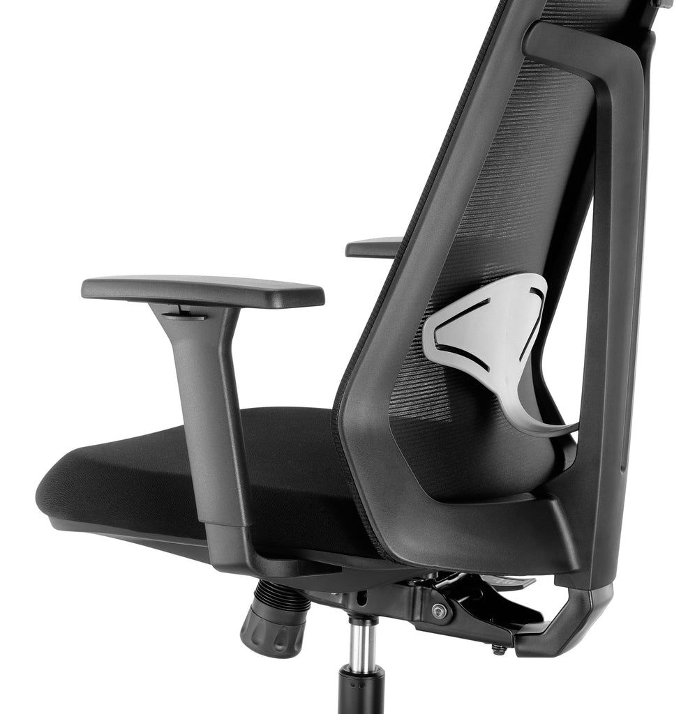 Fraser Country - Ergonomic Chair Black / Black