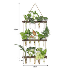 Load image into Gallery viewer, GREENYHAVEN 3 Tier Plant Propagation Tubes