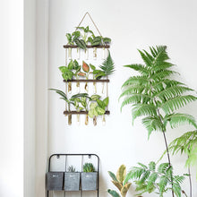 Load image into Gallery viewer, GREENYHAVEN 3 Tier Plant Propagation Tubes