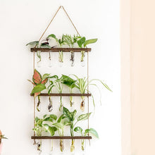 Load image into Gallery viewer, GREENYHAVEN 3 Tier Plant Propagation Tubes