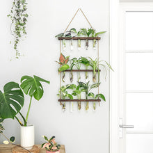 Load image into Gallery viewer, GREENYHAVEN 3 Tier Plant Propagation Tubes