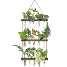 Load image into Gallery viewer, GREENYHAVEN 3 Tier Plant Propagation Tubes