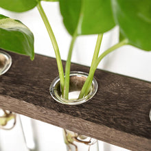 Load image into Gallery viewer, GREENYHAVEN 3 Tier Plant Propagation Tubes