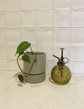Load image into Gallery viewer, Plant Mister Glass Ball - Yellow