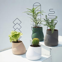 Load image into Gallery viewer, GREENYHAVEN Indoor Plant Trellis 4 Pack - Black